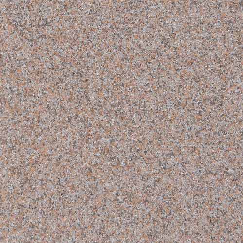 Oyster - QB-1004